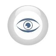 Security Camera Surveillance System